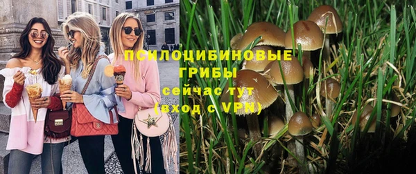 ECSTASY Горнозаводск