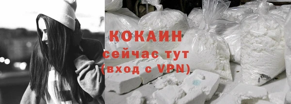 2c-b Горняк