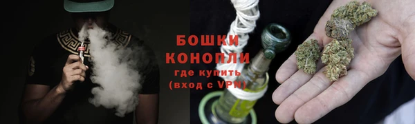 2c-b Горняк