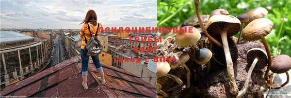 первитин Горно-Алтайск